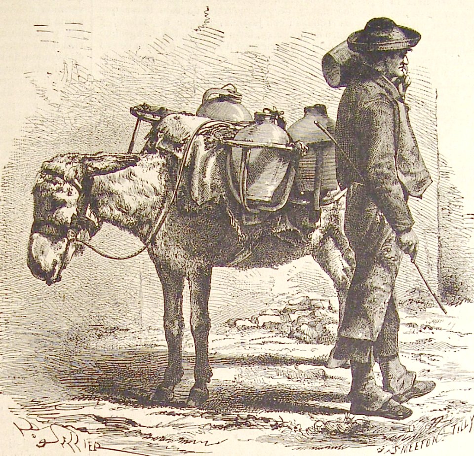 "Aguador de Córdoba".