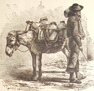"Aguador de Córdoba".
