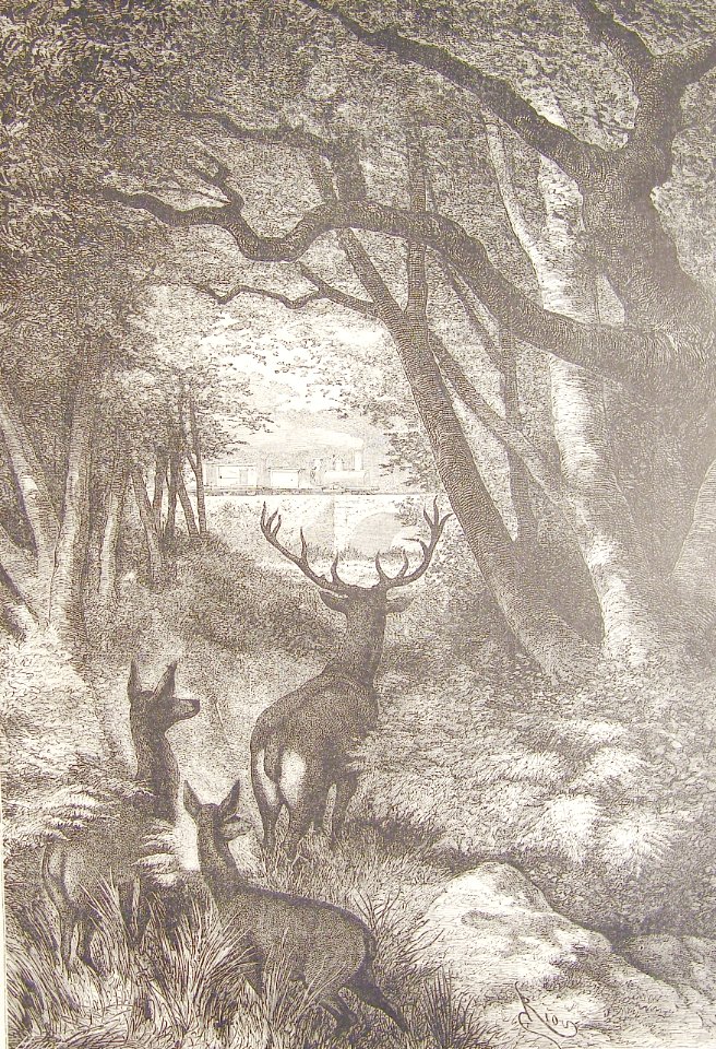 "El viajero ilustrado 1878..."