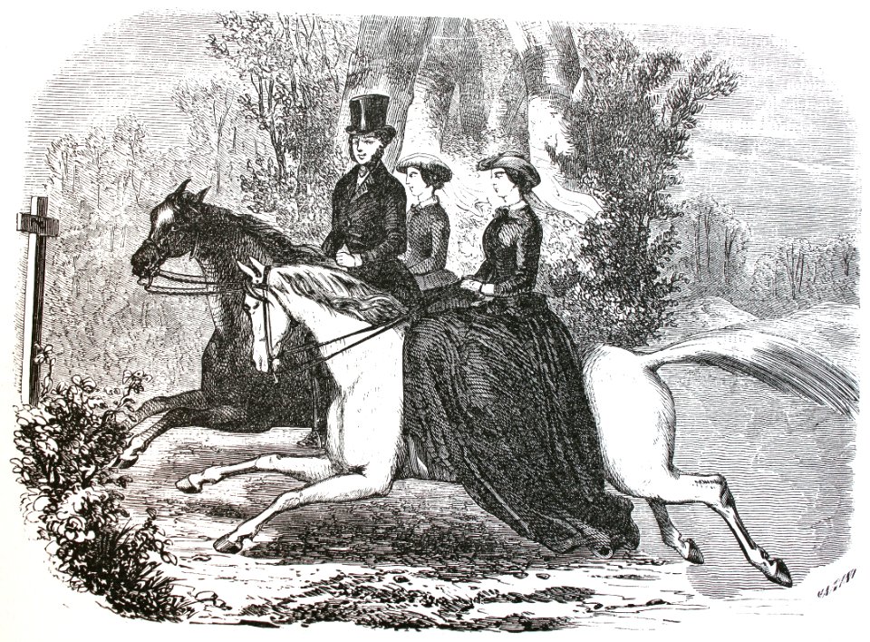 "Paseo por el bosque"
