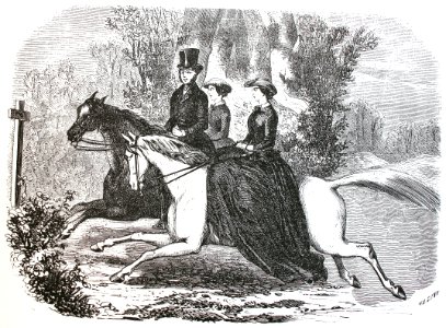 "Paseo por el bosque"