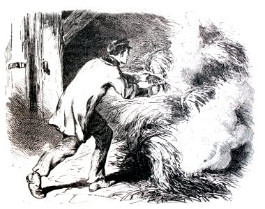 "Los bandidos Lemaire (1857). El incendiario".
