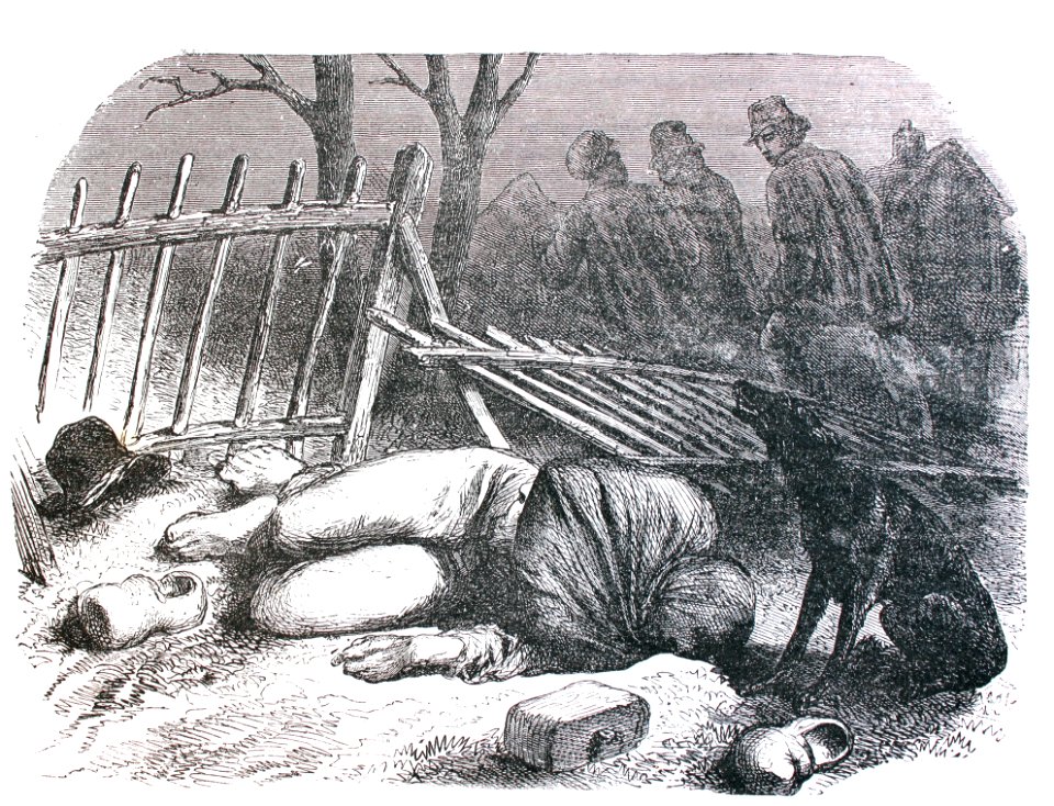 "Los bandidos Lemaire (1857)...principió a dar aullidos y …