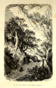 "Le Col de Pertus; les chenes´lièges"