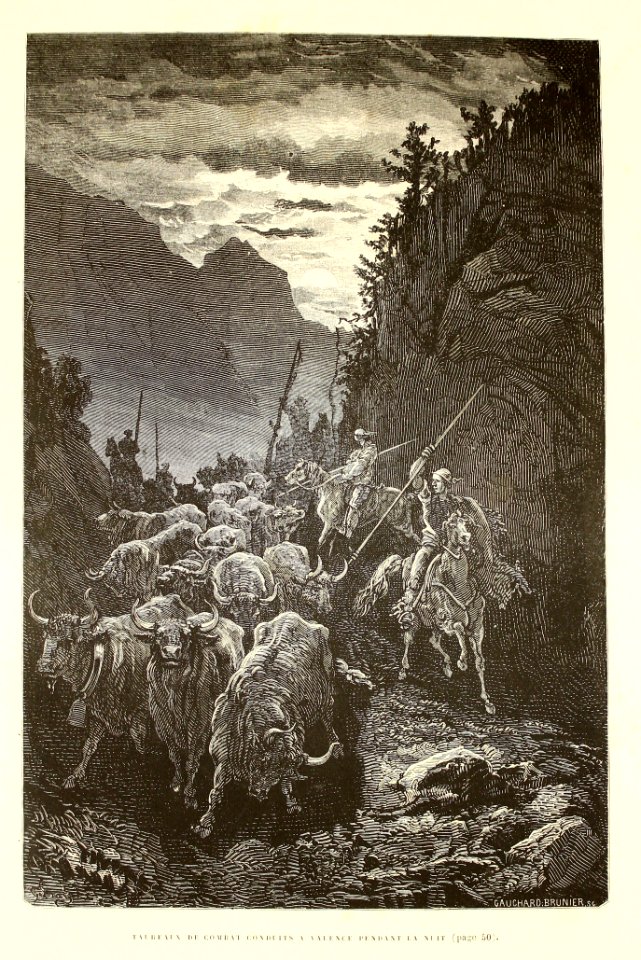 "Taureaux de combat conduits a Valence pendant la nuit"