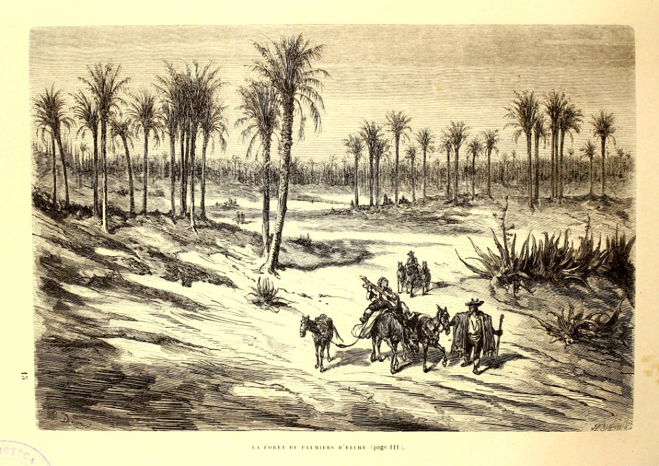 "La forêt de palmiers d'Elche"
