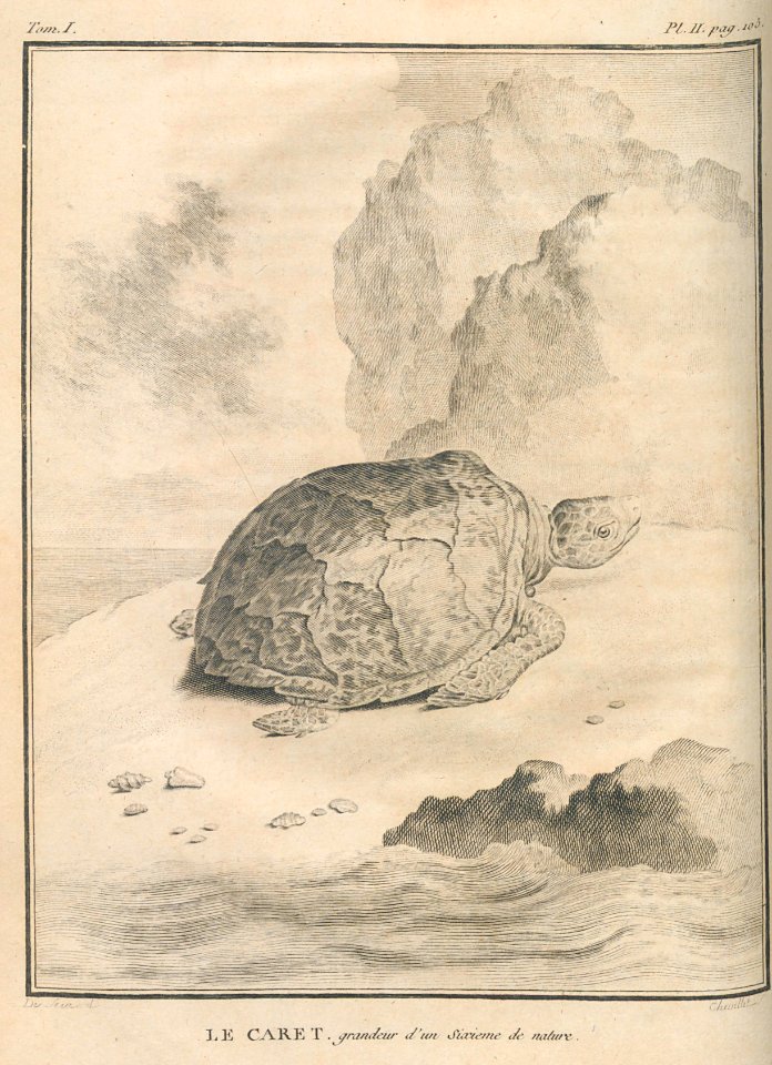 AG099_0133