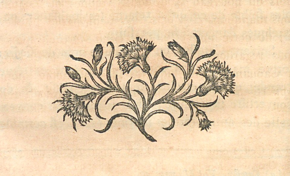AG099_0129