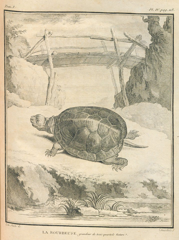AG099_0150