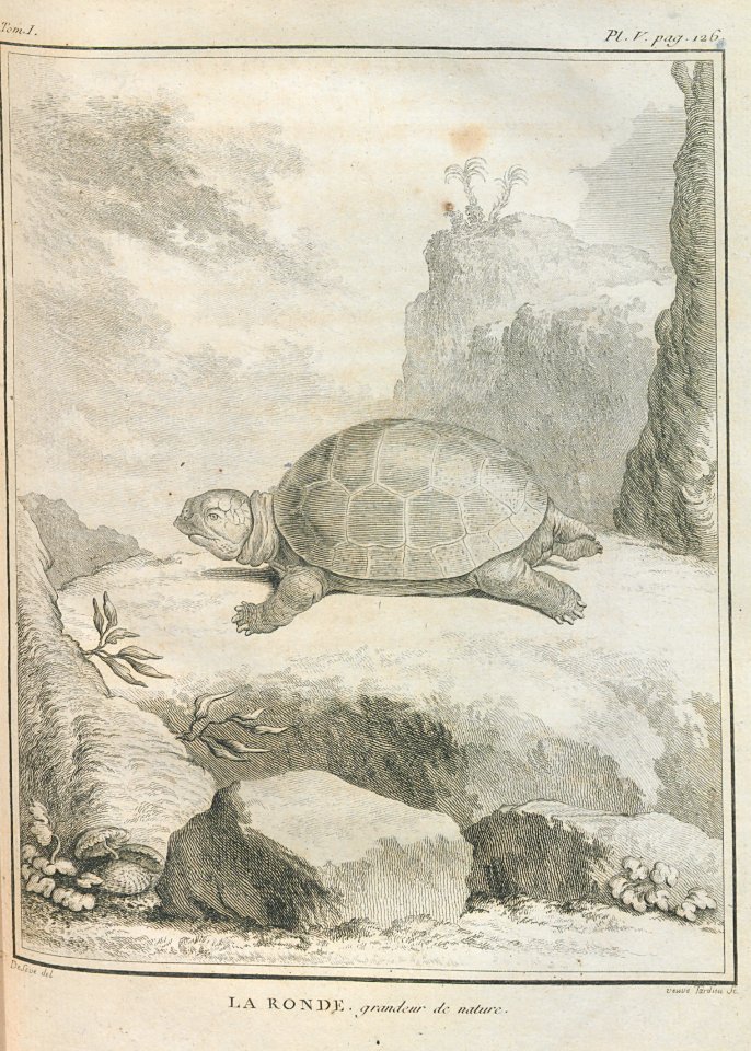 AG099_0160