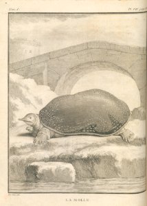 AG099_0177
