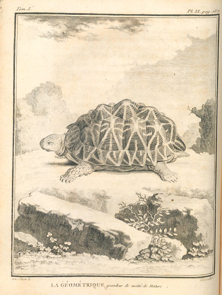 AG099_0201