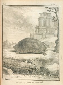 AG099_0184