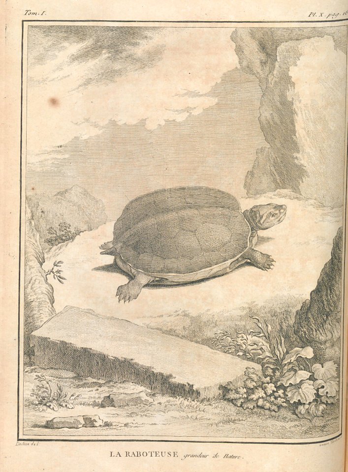 AG099_0207