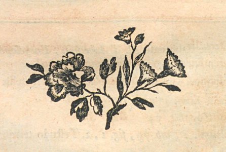 AG099_0209