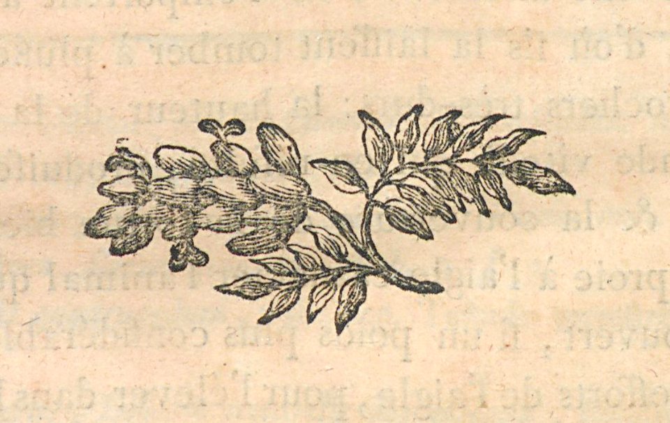 AG099_0215