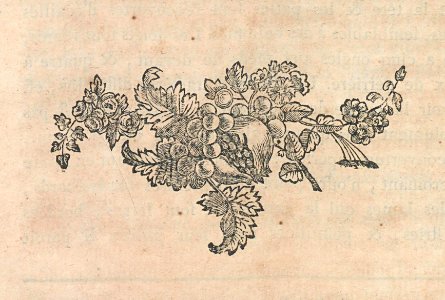 AG099_0217
