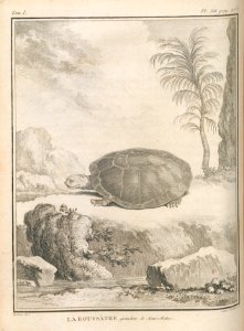AG099_0223