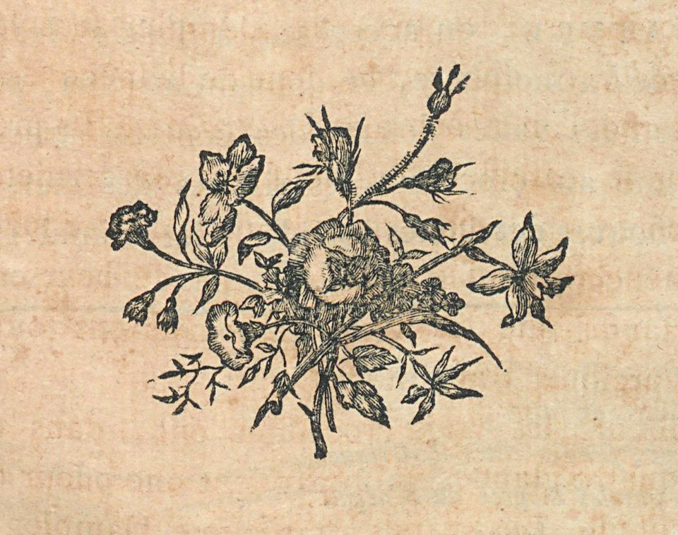 AG099_0240