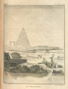 AG099_0242