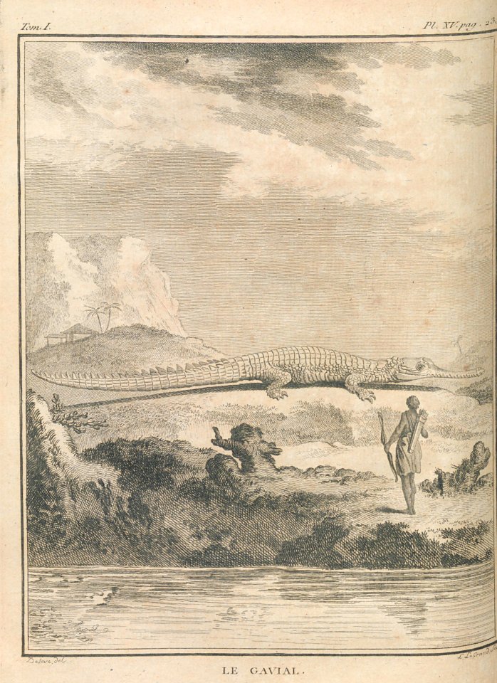 AG099_0291