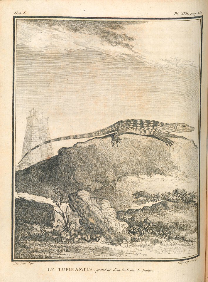 AG099_0311