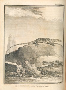 AG099_0311