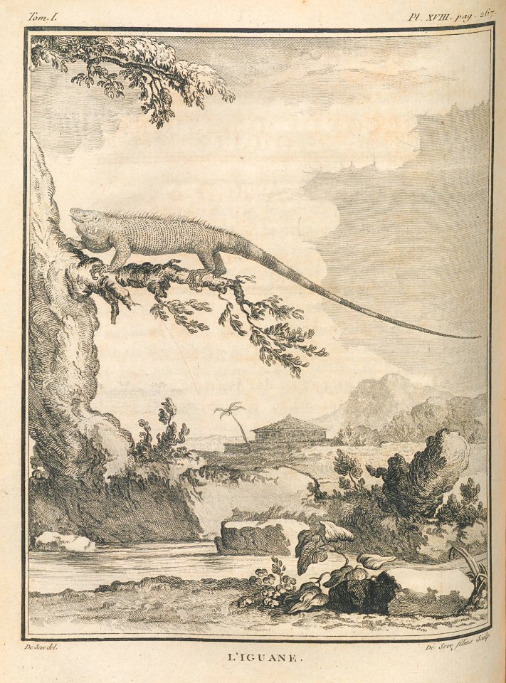 AG099_0329