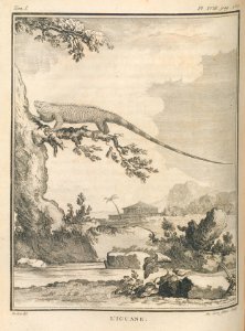 AG099_0329