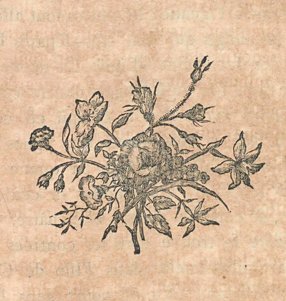 AG099_0359