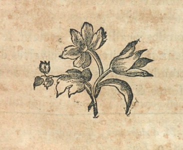 AG099_0390