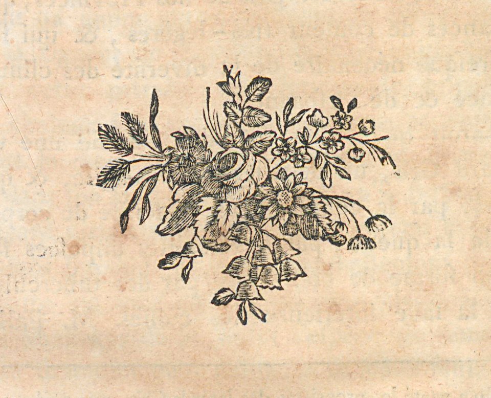 AG099_0373
