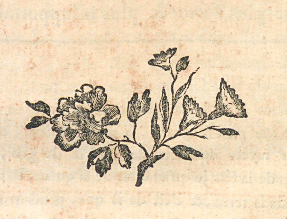 AG099_0401