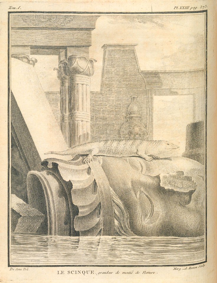 AG099_0445