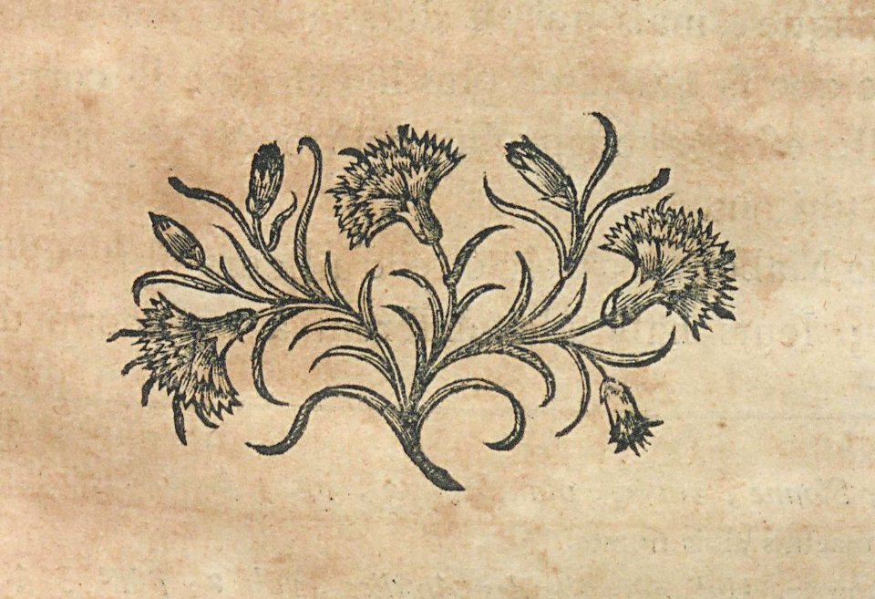 AG099_0450