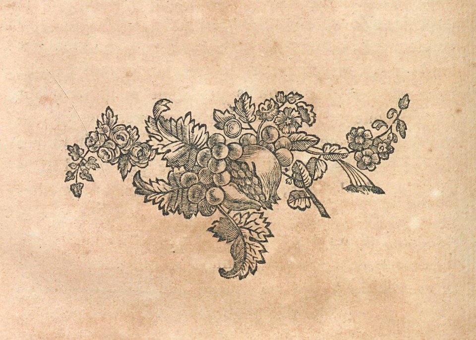 AG099_0443