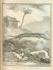 AG099_0452