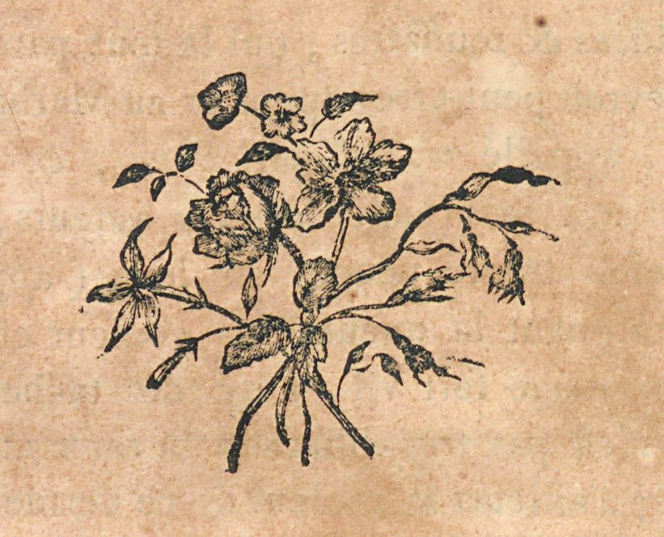 AG099_0475