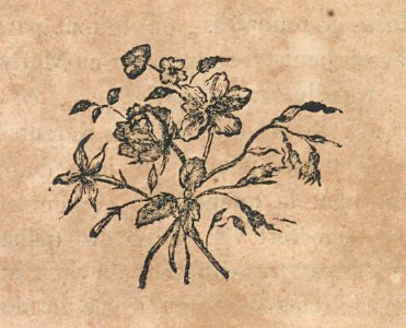 AG099_0475