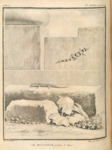 AG099_0491