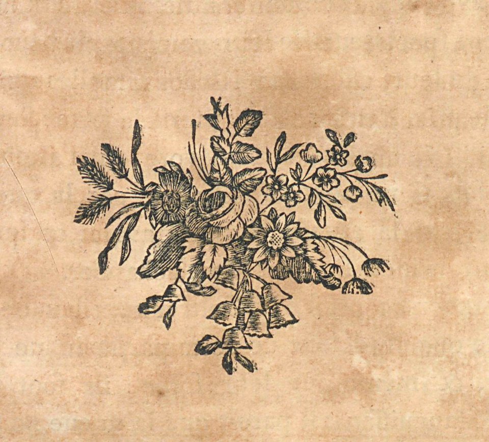 AG099_0485
