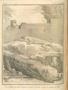AG099_0511