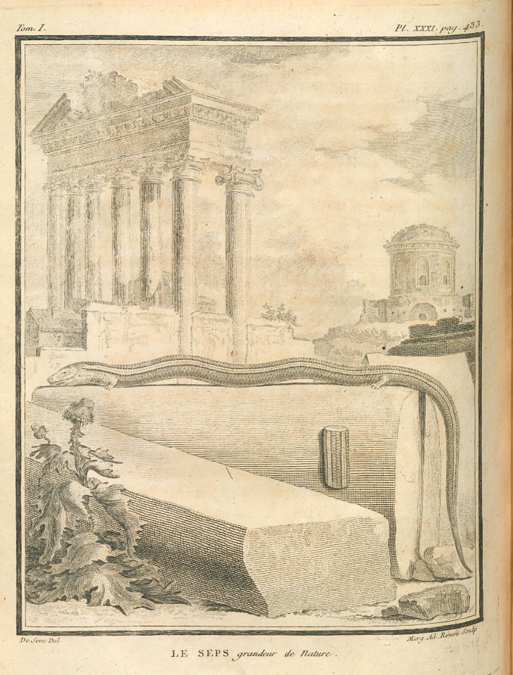 AG099_0521