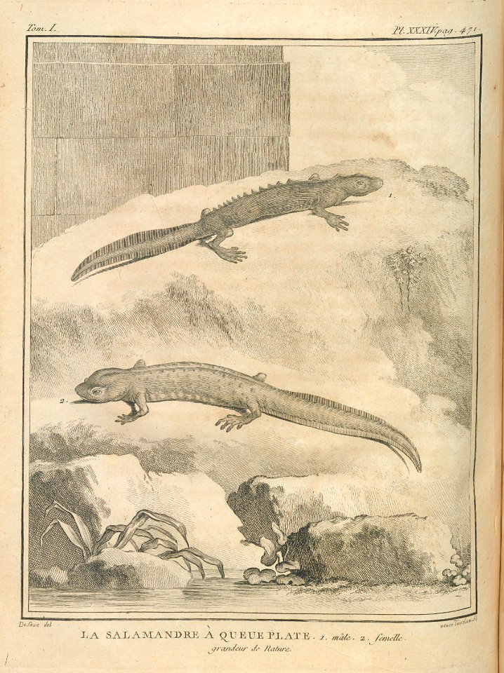 AG099_0567
