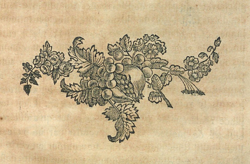 AG099_0592