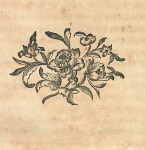 AG099_0509