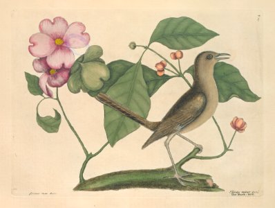 T027
