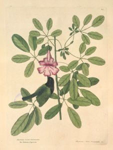 T037