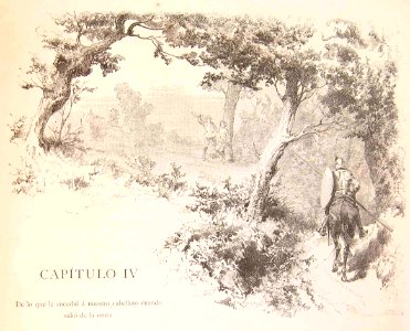 202_014_quijote_cap04