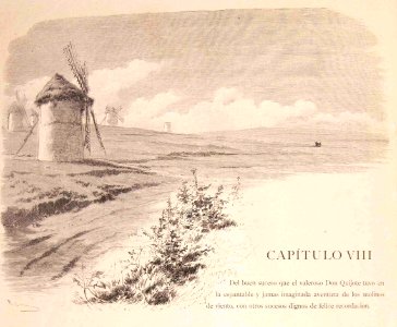 202_024_quijote_cap08